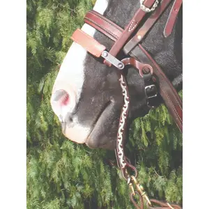 Professional's Choice Bob Avila Collection Floral Mechanical Hackamore Bit - 5" Width, 8.5-9" Shanks, Leather Noseband