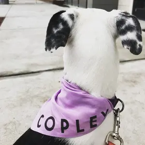 Your Dog's Name Bandana