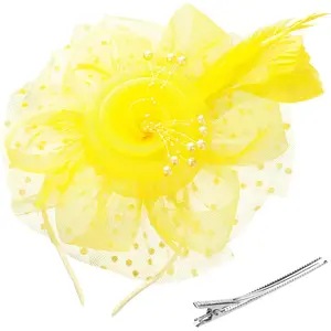 Fascinators Hats for Women Tea Hat Kentucky Derby Headband Mesh Flower Feathers Hair Clip for Wedding Cocktail