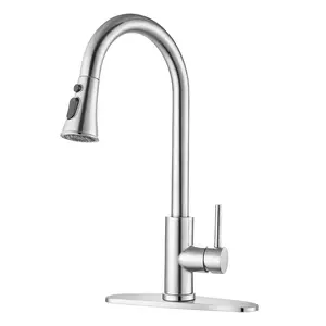 Brushed Nickel Pull-Down Kitchen Faucet - Single Hole Deck Mount with Stainless Steel Sprayer & Single Handle Control​