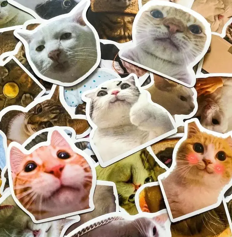 RANDOM 5 STICKER freeship