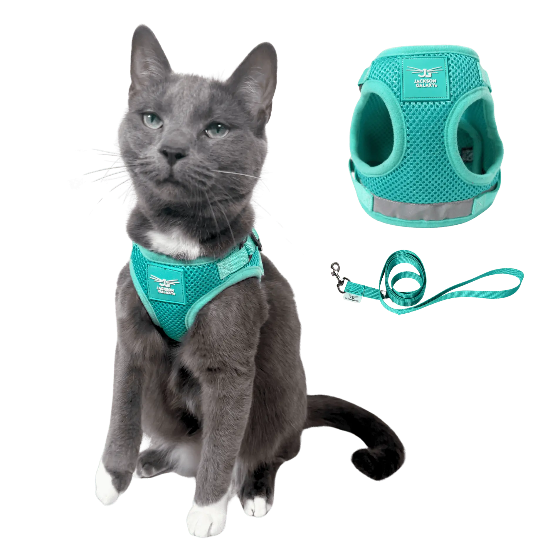 The Jackson Galaxy x Travel Cat Harness & Leash Set