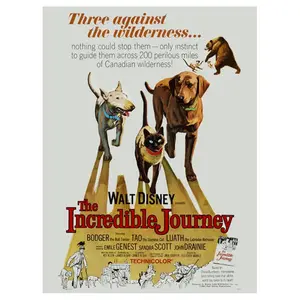 The Incredible Journey Vintage Movie Poster Wall Art, Iconic Retro Cinema Nostalgia Home Decor Restored from Original Artwork