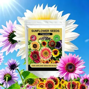 Sunflower Seeds 7 Varieties 1000+Pcs seed mixed color, Mammoth & Dwarf Flower Seeds for Outdoor Garden, Borders & Bouquets