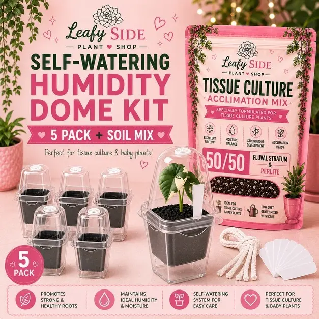 Tissue Culture Acclimation Kit - 5 Pack - Complete Kit Soil + Self Watering Pots & Humidity Domes