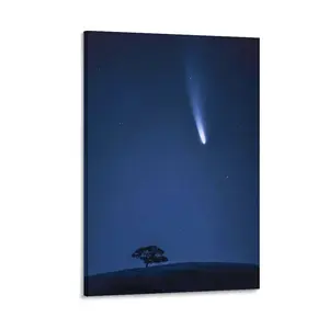 Space Photos Visitor Poster Poster Canvas Wall Art For Bedroom Decor Bar Office Room Decor Gift