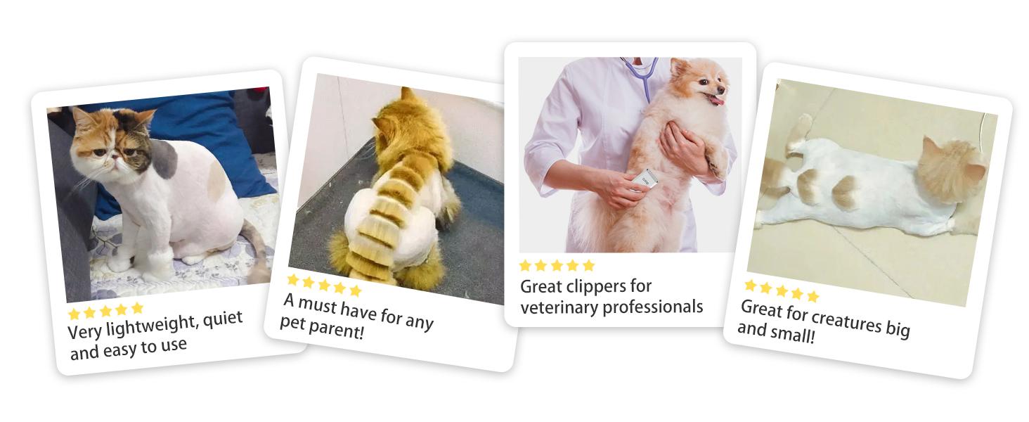 Pet Clippers for Dog Hair Grooming Low Noise, Rechargeable Cordless Cat Shaver with Ceramic Blade,Portable Pet Hair Trimmer for Matted & Long Hair