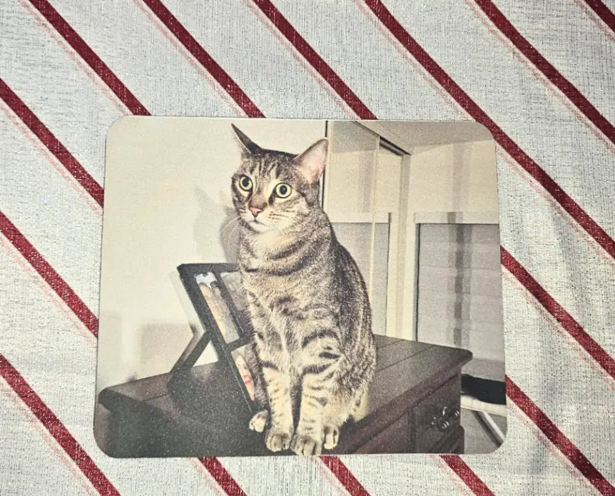 Mouse Pad Personalizado – Musi el Gato