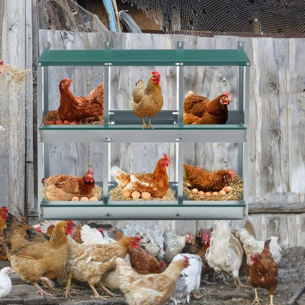 6-Compartment Metal Chicken Nesting Box for Hens, Galvanized Steel Poultry Nest with Sloped Roof, Easy Assembly Backyard Coop Accessory (6-Hole,Green)