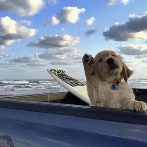 background preload poster image 