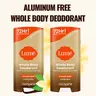 Solid Stick Aluminum Free Whole Body Deodorant - Multipack - Lume Deodorant