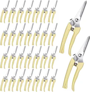 30 Pcs Flower Shears Pruning Scissors Duty Plant Scissors Trimming Clippers Hand Tree Pruner for Yard Plants Hedge Flower Tree Cutting Secateurs (Beige)