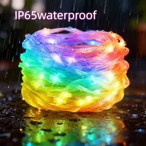16FT 33FT LED Rope Lights IP65 Waterproof 100 LEDs Color Changing USB Powered Bluetooth APP Remote Control for Garden Party Wedding Christmas Bedroom Patio Decoration Multiple Modes Customizable Lighting