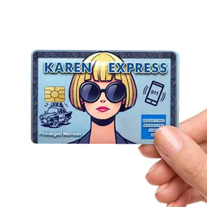 Karen Express Card Cover Pop Culture Vinyl Skin Stickers funny sticker
