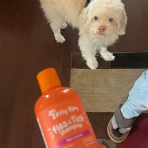 Zesty Paws Flea & Tick Removal Shampoo for Dogs - 16-fl oz Natural Soothing Deodorizing Cleaning Formula with Cedarwood Oil & Peppermint for Skin & Coat Care