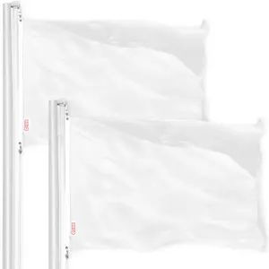 Solid White Color Flag 3x5 Ft 2-Pack Printed 150D Polyester By G128