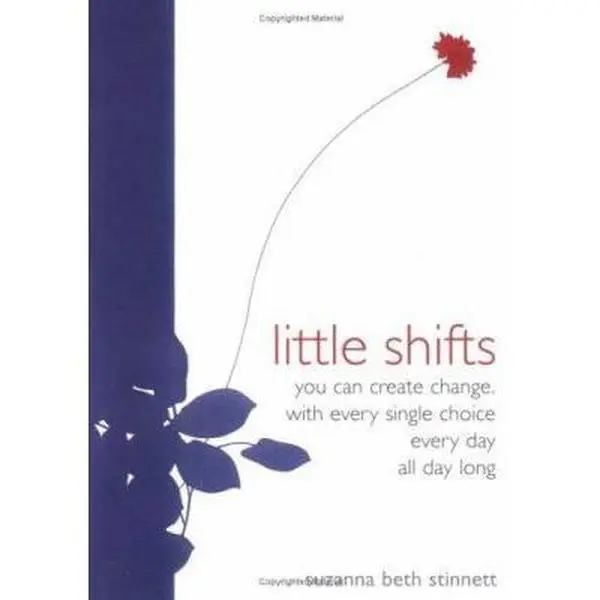 USED-Little Shifts: You Can Create Change With Every Single Choice Every Day All Day Long by Suzanna Beth Stinnett (Paperback)