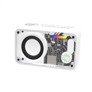 Premium Cyberpunk RGB Speaker Gift Box | Deep Bass Bluetooth Tech Ornament | Trendy Desk Home Decor | Ideal Mother’s & Valentine’s Surprise Gift for Gaming Room, Date Night & Everyday Indoor Ornament Set