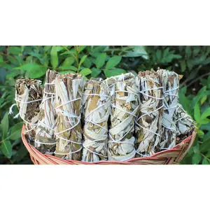 Alkaline Yerba Santa Bundle