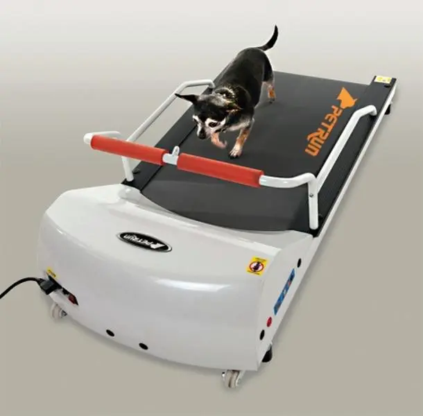 GoPet Dog Tread Mill - Toy Breeds - White