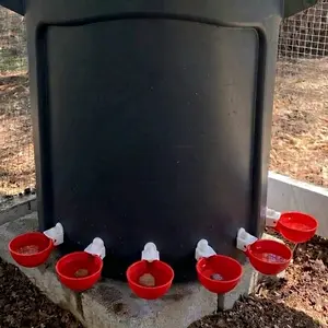 Chicken/Poultry Water Dispenser, 20-Gal Black Bucket with Snap-Lock Lid and 6 Red Cups
