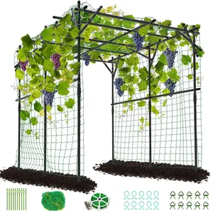 Lilypelle Tall Garden Arch Trellis, 79'' L x 79'' W x 79'' H Large Grape Vine Support Plastic-Coated Metal Garden Trellis for Climbing Plants Vineyard