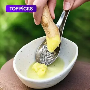 Stainless Steel Ginger Grating Spoon, 1/2pcs Manual Garlic Masher, Kitchen Gadget for Mash Garlic and Ginger, Durable Cookware Accessories, Kitchen Cooking Accessories #TOP PICKS