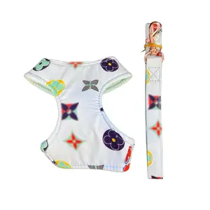 Monogram Harness with Leash in Multi-Colors - Luxury Dog Accessory