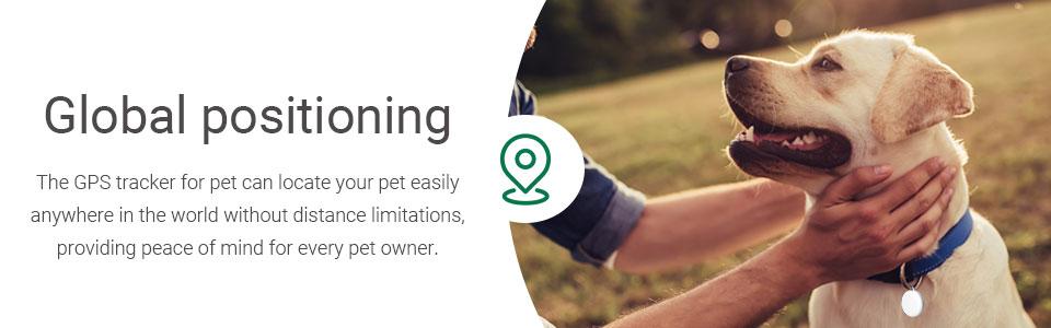 Bluetooth Tracker Tag With Cat Collar, Portable Smart Tag, Works with Jimi Life APP, Waterproof, Anti-lose Finder for wallet, key chain and pet Bluetooth Tracker Tag With Cat Collar, Portable Smart Tag, Works with Jimi Life APP, Waterproof, Anti-lose Finder for wallet, key chain and pet