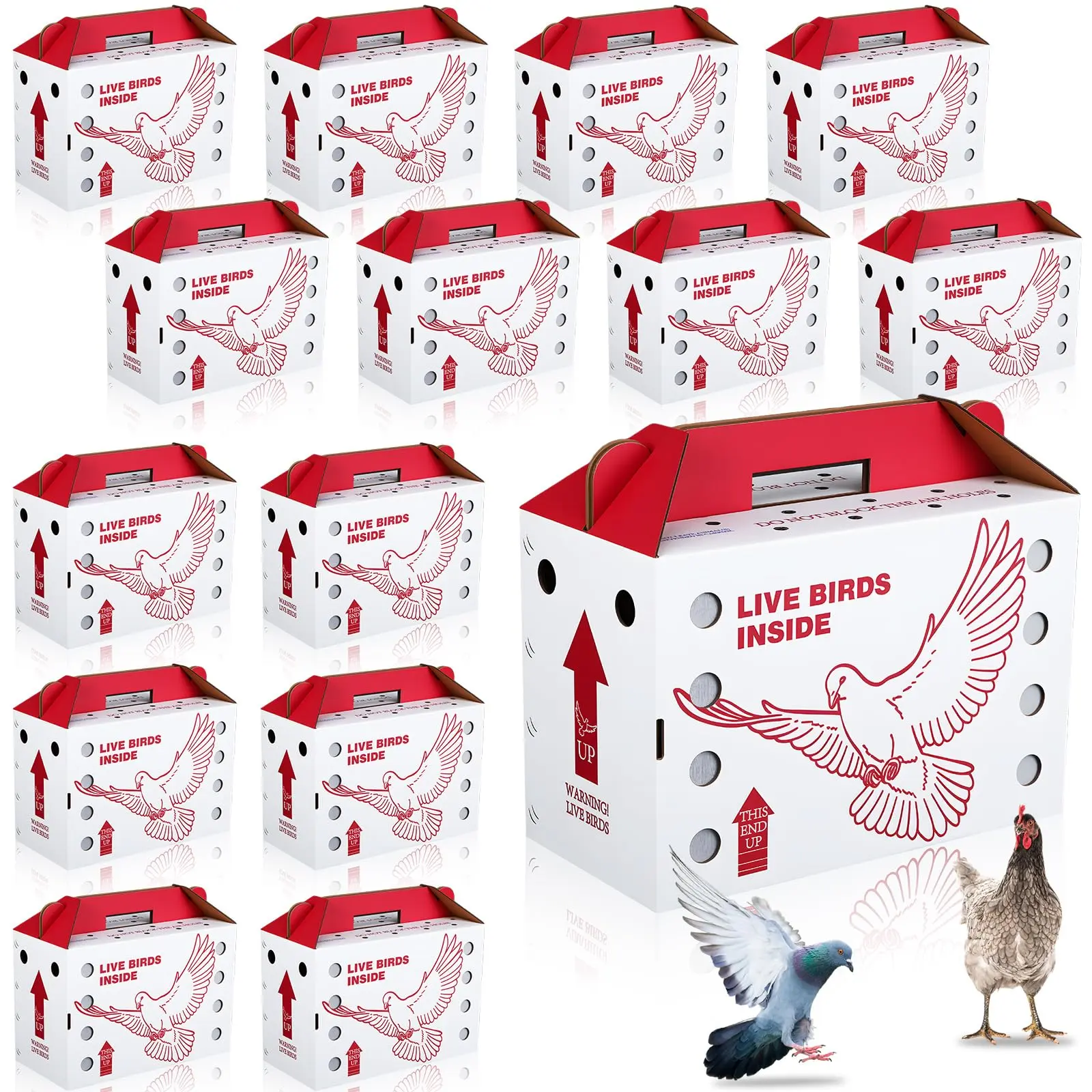 15 Pack Single Live Chicken Shipping Boxes 17.5 x 8.5 x 11.5" Live Bird Shipping Boxes Cardboard Pet Carrier with Handle for Poultry, Pigeons, & Canaries(Red)