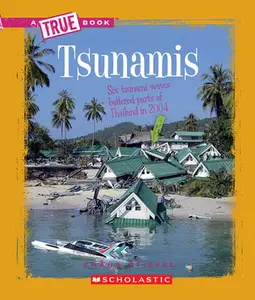 USED-Tsunamis (a True Book: Earth Science) by Stiefel, Chana (Paperback)