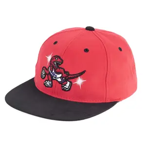 Mitchell & Ness Red NBA Toronto Raptors Team Snapback Hat