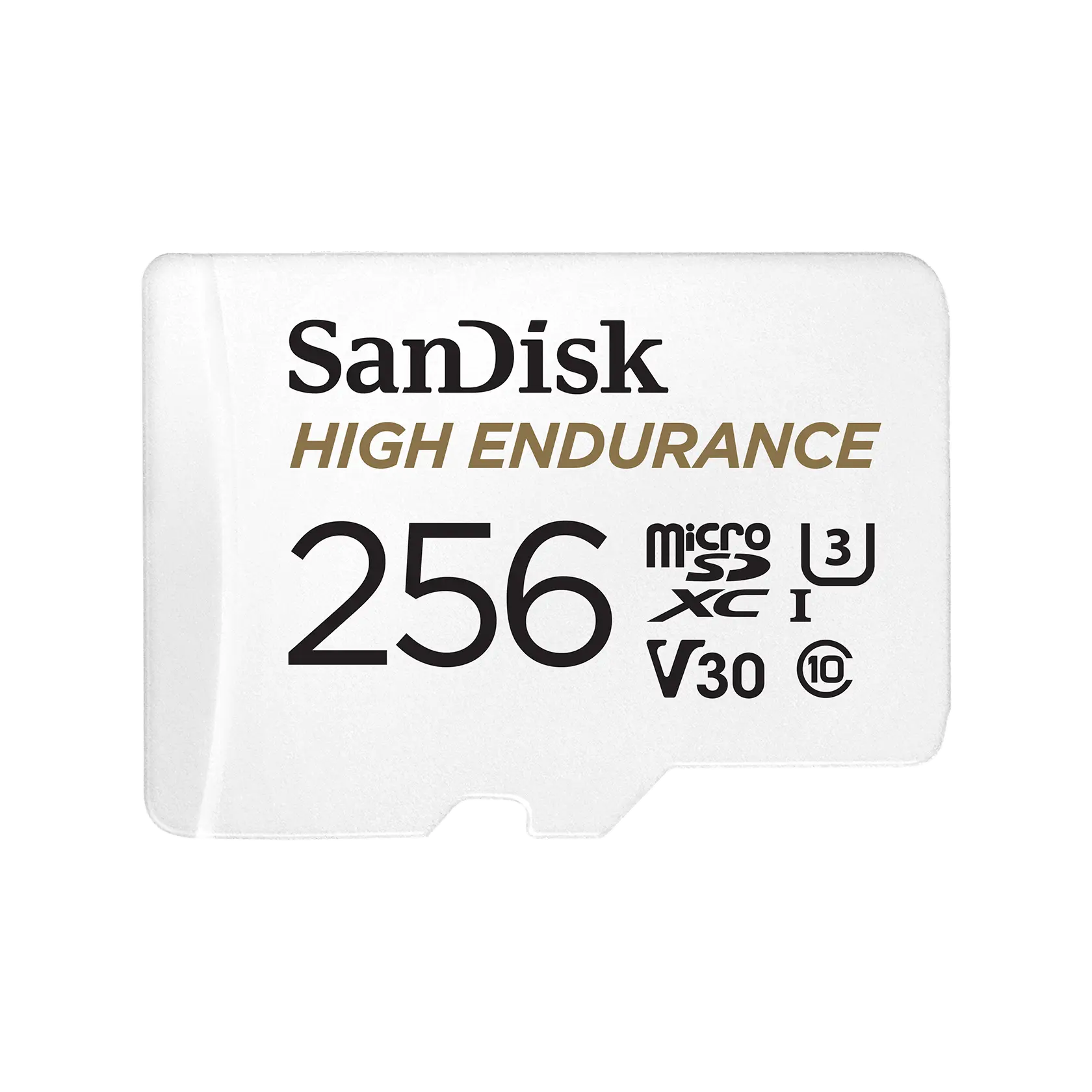 SanDisk High Endurance microSD Card