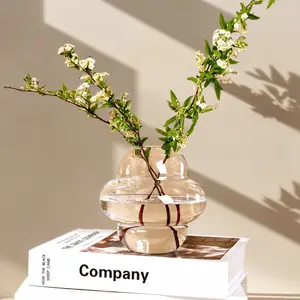 Modern Glass Flower Vase, Hand-Blown Transparent Water Culture Container, Unique Shape Home Decor, Desktop Floral Arrangement Holder