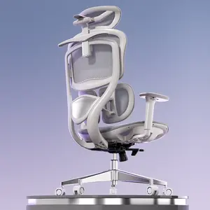 ERGOUP Ergonomic Office Chair with Footrest - Breathable Mesh, 4D Headrest, 360° Rotating Armrests, Gray - Designed for Extended Comfort, Ideal for IT, Finance & Gaming Enthusiasts