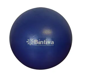 Bintiva 9 Inch Pilates Core Ball
