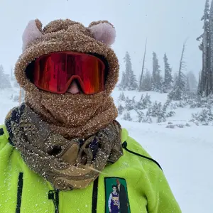 Bear Balaclava - Festival Hood