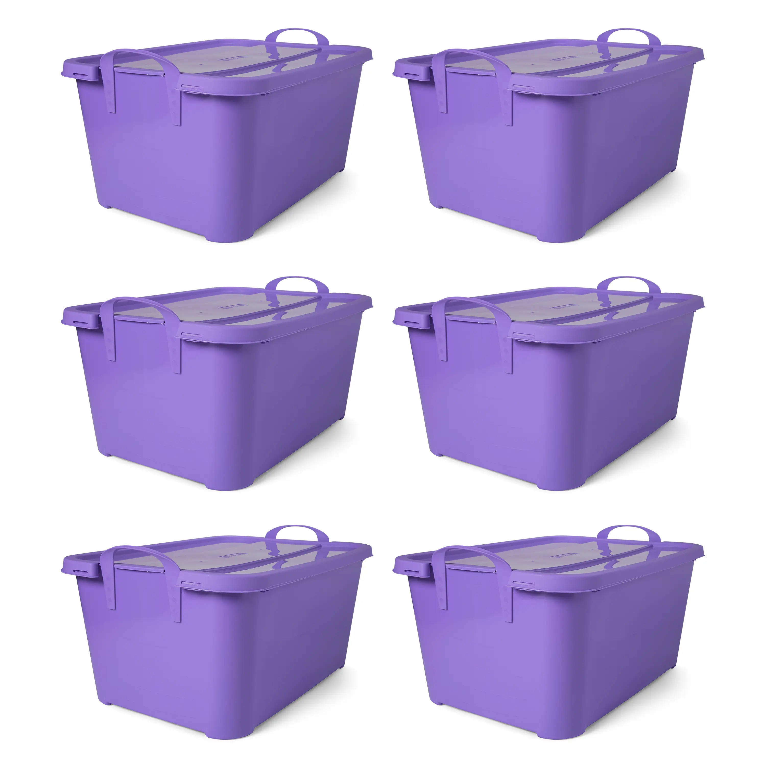Solid Purple (6 Pack)