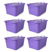 Solid Purple (6 Pack)