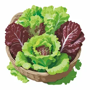 Heirloom Gardens Mix Lettuce