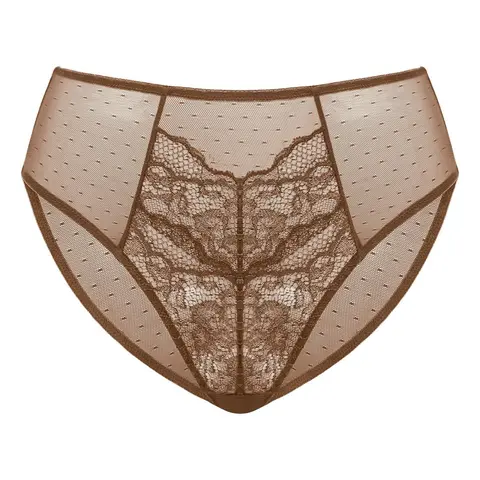 HSIA Enchante Floral Lace Sheer Mesh Back Bikini Underwear Brief Matching Panty
