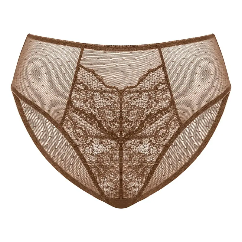 HSIA Enchante Floral Lace Sheer Mesh Back Bikini Underwear Brief Matching Panty