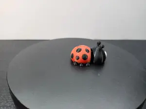 Lady Bug