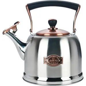 Stainless Steel Tea Kettle for Stove Top with Heat Proof Ergonomic Handle 3.0 Quart
