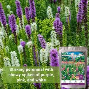 300 Mixed Liatris Blazing Star- Purple and White Mixed Flowers