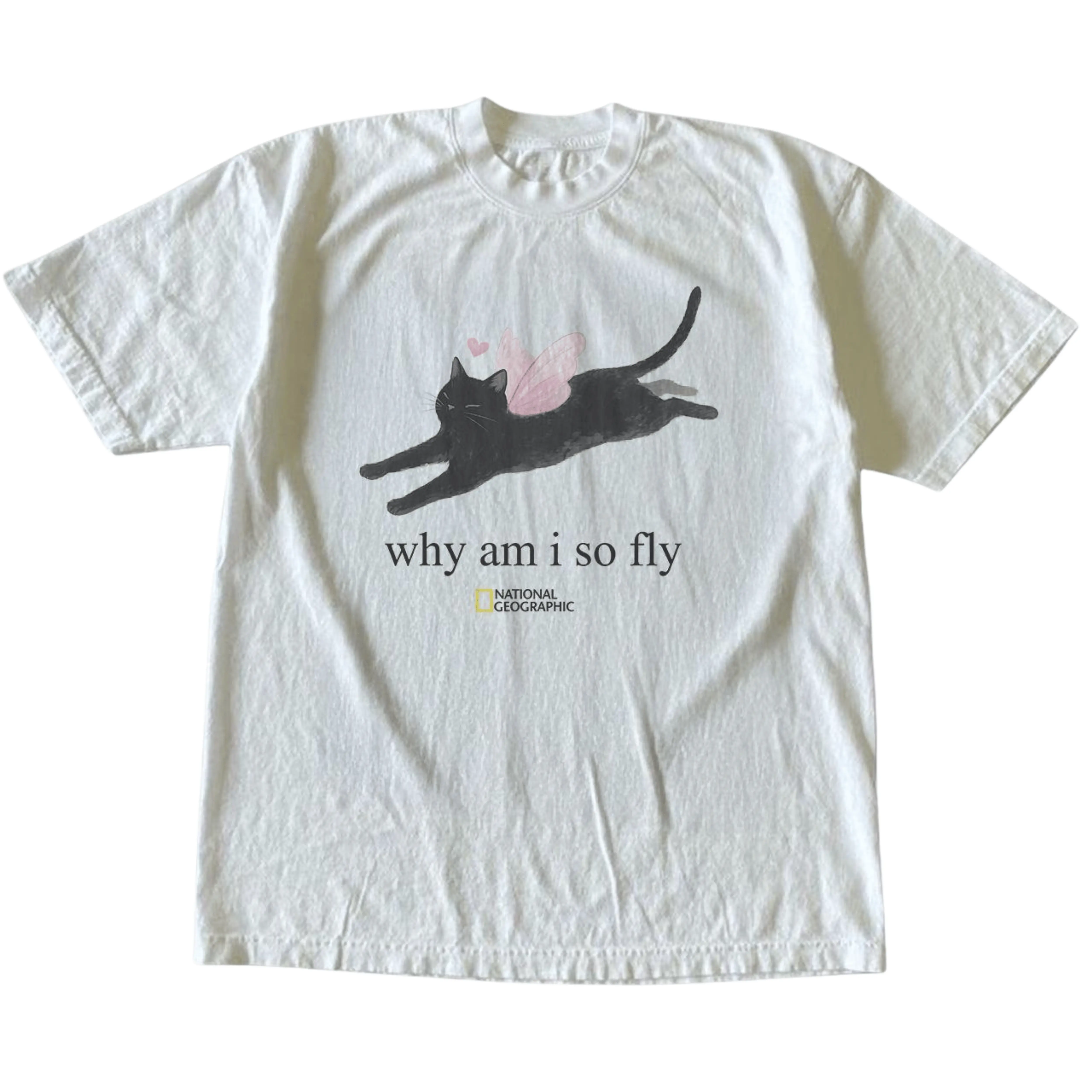 Gildan Men's and Women's T-Shirt, Vintage National Geographic “Why Am I So Fly” Black Cat Fairy Graphic Tee, Unisex Casual Top, Funny Kitten Shirt, Whimsical Aesthetic Apparel, Matching Couples Outfit, Unique Birthday Gift, Premium Cotton, Cute Pet Merch