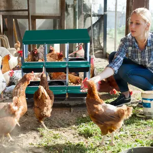 Chicken Nesting Boxes for Laying Eggs, 6 Compartment Metal Roll Away Eggs Laying Boxes with Chicken Perch and Legs, Wall Mount Chicken Brooder Box for Chicken Hens Poultry, green