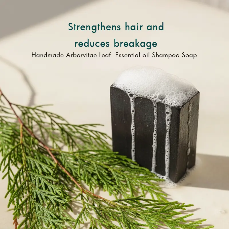 MAKEUP FOREST Handmade Arborvitae Leaf Essential Oil Shampoo Soap 100G Natural Hair Care with Arborvitae Leaf Oil for Cleansing & Versatile Use