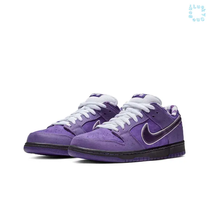 Low Top Skate Sneakers | Solid Purple Speckled Suede Upper with White Outline Metallic Purple Curved Logo | Solid Black Flat Rubber Outsole for Daily Street Skateboarding