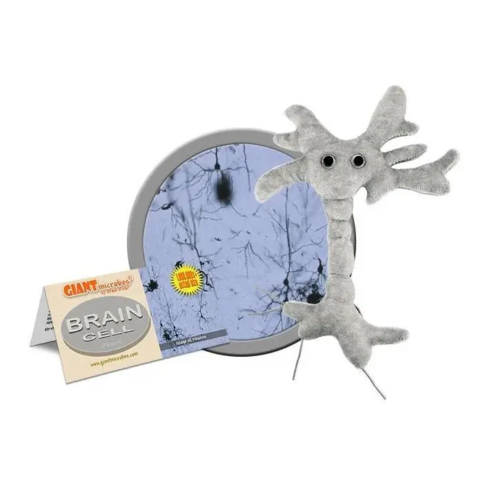 GIANTmicrobes - Brain Cell (Neuron)